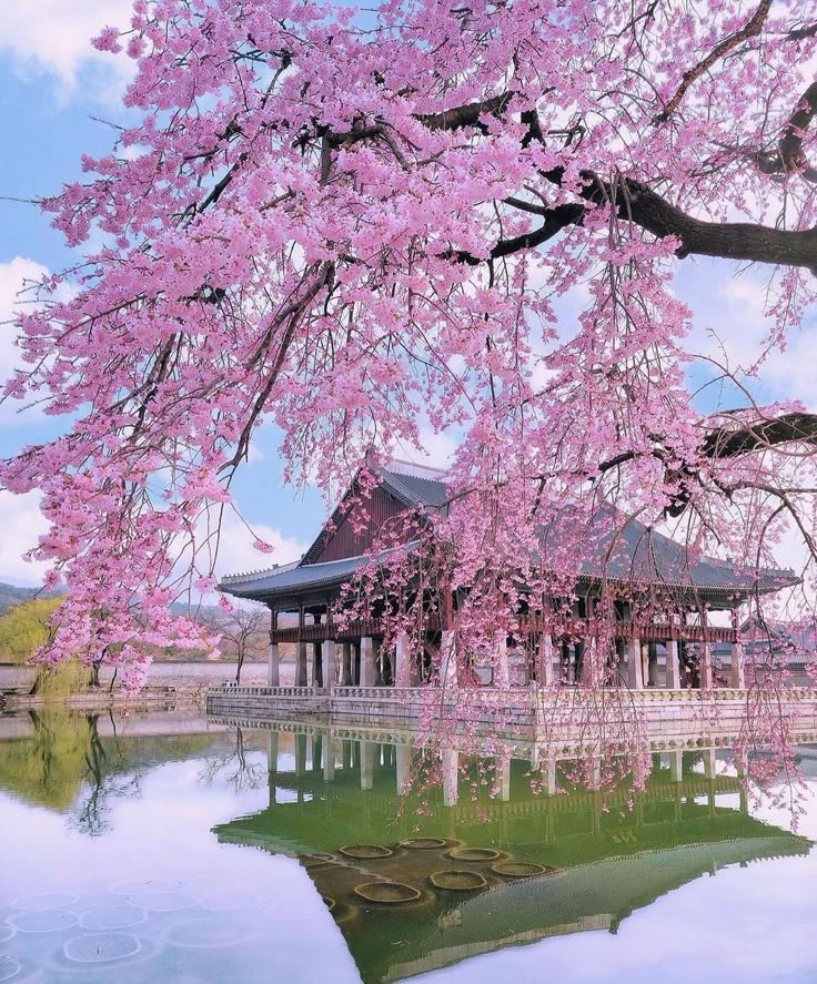 Lets spend the day at the amazing Gyeongbokgung Palace in Seoul