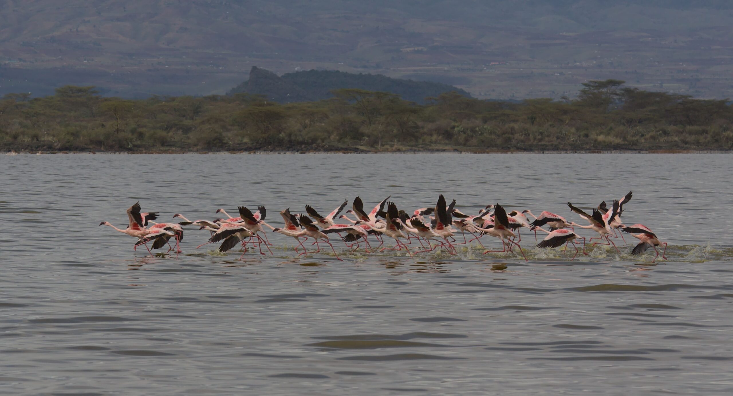 Masai Mara & private Safari-Camps