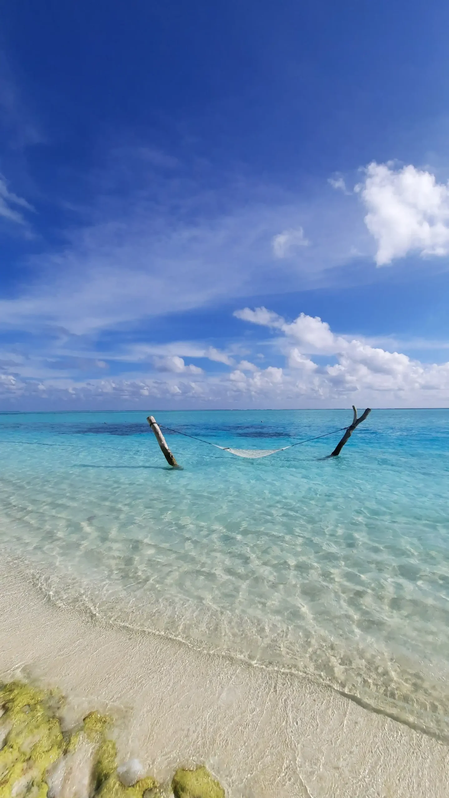 maldivs scaled 1.webp