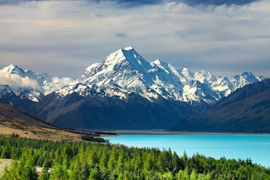 card neuseeland 2